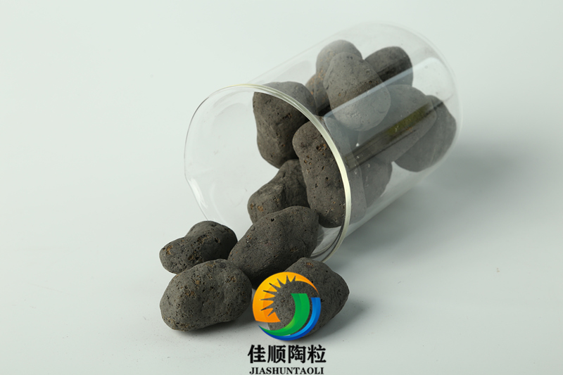 陶粒廠家分享陶粒在花卉栽培中的妙用，非常方便植物的水培扦插繁殖。快試試